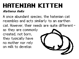 Thumbnail for A Look at the Hatenian Cat