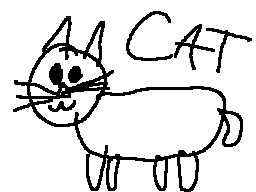Thumbnail for CAT