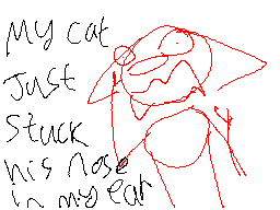 Thumbnail for Whiskers