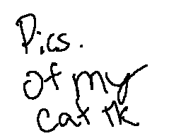 Thumbnail for Pics of my Cat, TK! (May 2012)