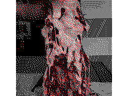 Thumbnail for cheese flesh