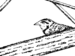 Thumbnail for I'm So Lonesome I Could Cry
